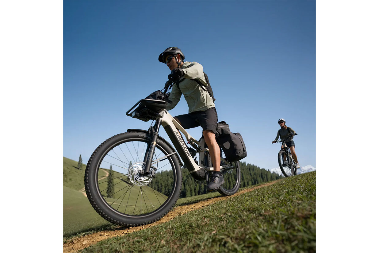 TL Carbon - Afbeelding 5